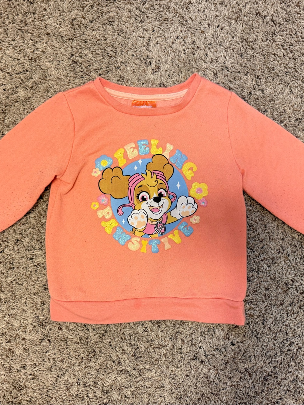 Skye Paw Patrol Nickelodeon Coral Pink Sweatshirt